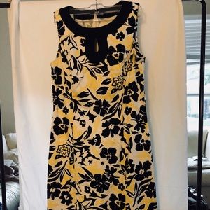 Chaps semi fitted dress